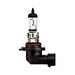 Fog Light Bulbsewrtrtrt