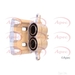 Apec RCA176 - Single