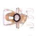 APEC RCA299N - Single