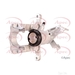 Apec RCA619 - Single
