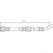Apec (HOS3034) - Single