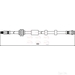 Apec (HOS4109) - Single