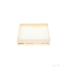 Cabin Filter 1987432034 - Single