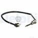 Delphi TS30098 - Single