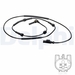 Delphi SS20635 - Single