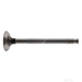 Exhaust Valve - Febi 19891 - Single
