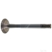 Exhaust Valve - Febi 19960 - Single