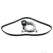 Febi Bilstein Auxiliary Belt Kit 196092 - Kit