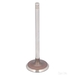 Febi Bilstein 183492 - Single