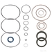Gasket Set For Steering Gear - - Single