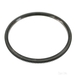 Starter Ring Gear | Febi 09831 - Single