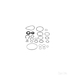 Steering Gear Gasket Set - Feb - Single