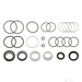 Steering Gear Gasket Set - Feb - Single