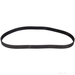 Timing Belt - Febi 21869 - Single