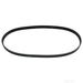Timing Belt - Febi 26693 - Single