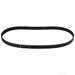 Timing Belt - Febi 26900 - Single