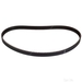 Timing Belt - Febi 28663 - Single