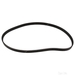 Timing Belt - Febi 37285 - Single