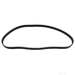 Timing Belt For Camshaft - Feb - Single