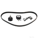 Timing Belt Kit - Febi 21770 - Single