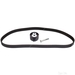Timing Belt Kit - Febi 21901 - Single