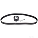 Timing Belt Kit - Febi 21902 - Single