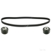 Timing Belt Kit - Febi 27391 - Single