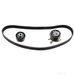 Timing Belt Kit - Febi 36230 - Single