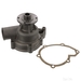 Water Pump - Febi 01294 - Single