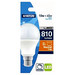 Status LED Bayonet Cap Dimmabl - Single