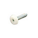 Connect Number Plate Screws - - Pack of 100