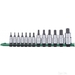 Carlyle Hand Tools BSTH13 - Set