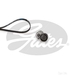 Gates K016PK1198 - Kit