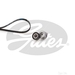 Gates K026PK1183 - Kit