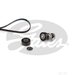 Gates K026PK1610HD - Kit
