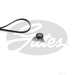 Gates K034PK855 - Kit