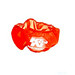 K&N E-3527PR Air Filter Wrap - single