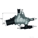 Mahle TI-142-83 - Single