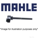 Mahle Low Coolant Level IndicatorSwitch - Single