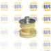 NAPA NKM1084 - Single