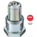 NGK Spark Plug R6918B-7 (NGK 6 - Single