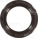 Victor Reinz 81-53234-00 - Single