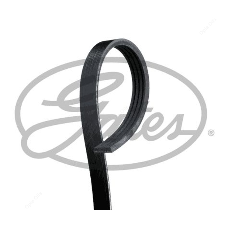 Gates Micro-V Multi-Ribbed Belt (4PK813)