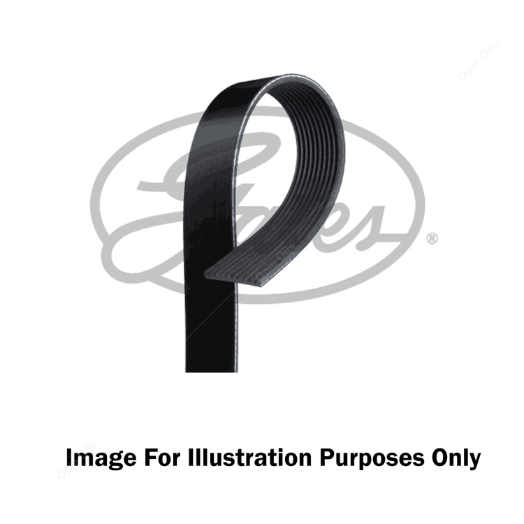 Gates Timing Belt (T275)