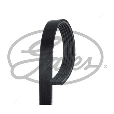 Multi rib outlet belt