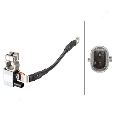 HELLA 6PU 009 146-651 Krukassensor - 12V - 3-polig - Kabel