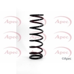 Apec Coil Spring Rear (ACS1026)