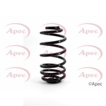 Apec Coil Spring Rear (ACS1038)