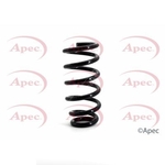 Apec Coil Spring Rear (ACS1049)