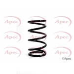 Apec Coil Spring Rear (ACS1051)